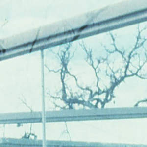 Manifesto Architecture: The Ghost of Mies // Critical Spatial Practice 3 // 