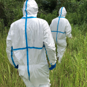 Don’t Follow the Wind